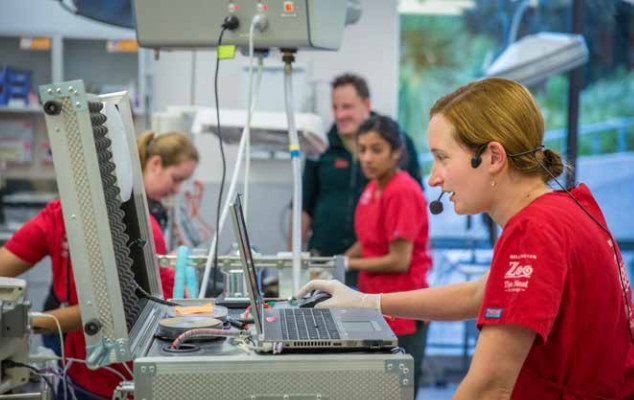 Ветеринары зоопарка Nest Te Kohanga работают за аппаратом AGFA DR